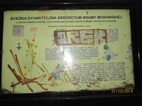 IMG_2762.jpg, 28kB